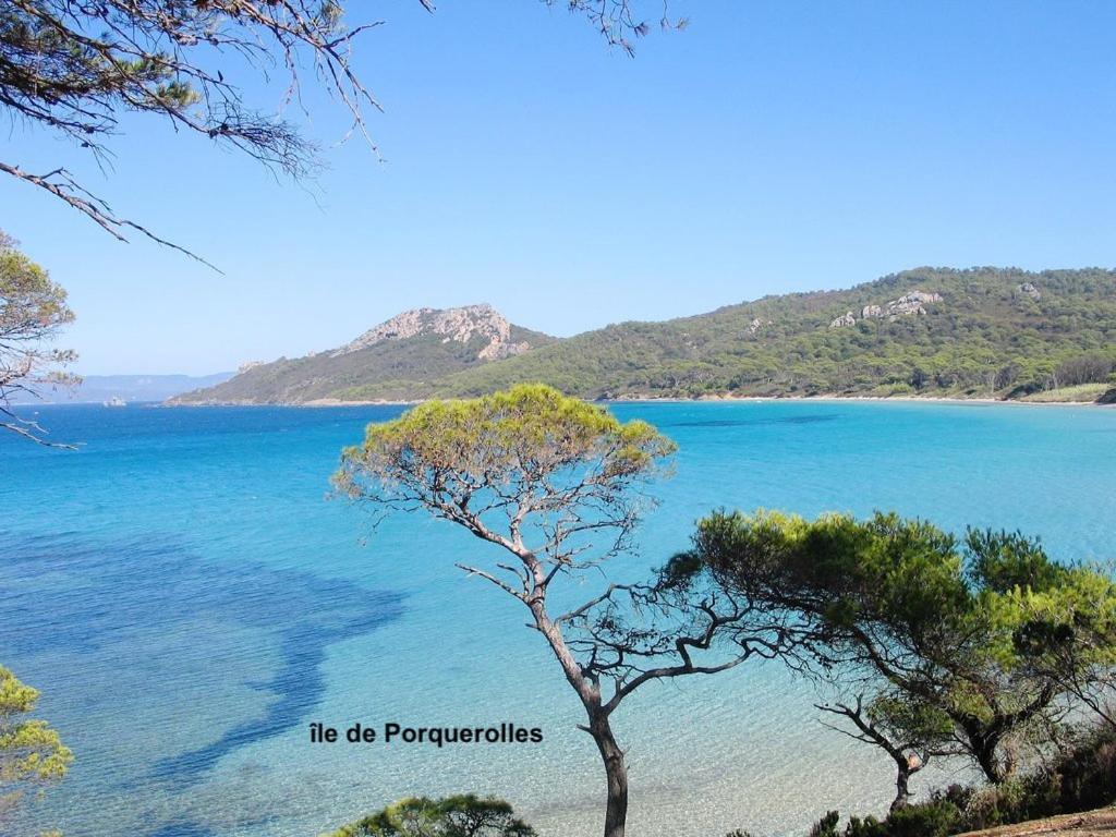 Rez-De-Villa Proche De La Mer - Villa Temana Saint-Cyr-sur-Mer Exteriér fotografie